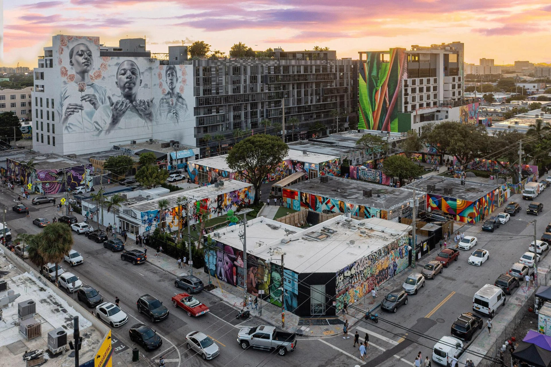 Renting in Wynwood, Miami: The Complete Neighborhood Guide